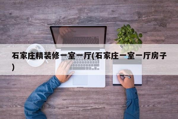 石家庄精装修一室一厅(石家庄一室一厅房子)