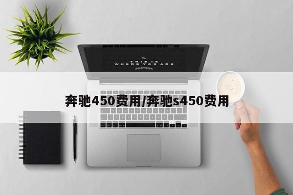 奔驰450费用/奔驰s450费用