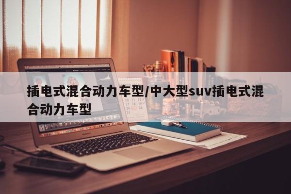 插电式混合动力车型/中大型suv插电式混合动力车型