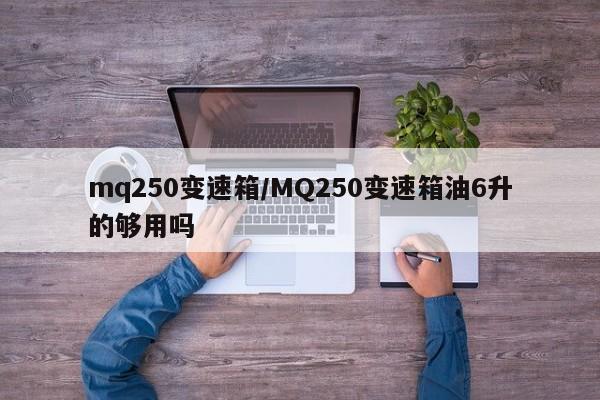 mq250变速箱/MQ250变速箱油6升的够用吗