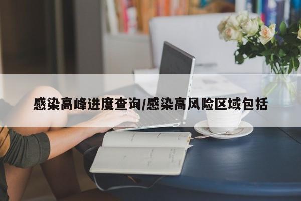感染高峰进度查询/感染高风险区域包括