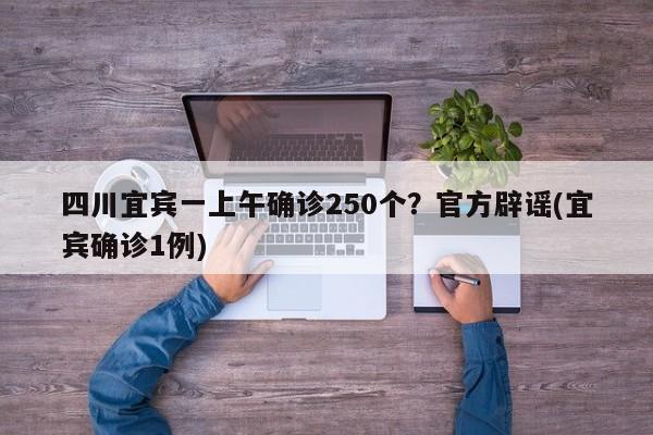 四川宜宾一上午确诊250个?官方辟谣(宜宾确诊1例)