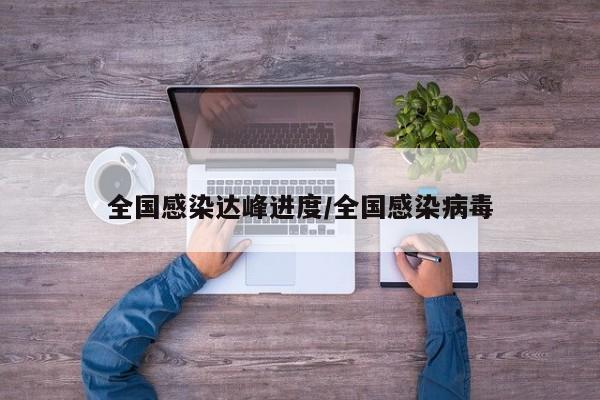 全国感染达峰进度/全国感染病毒