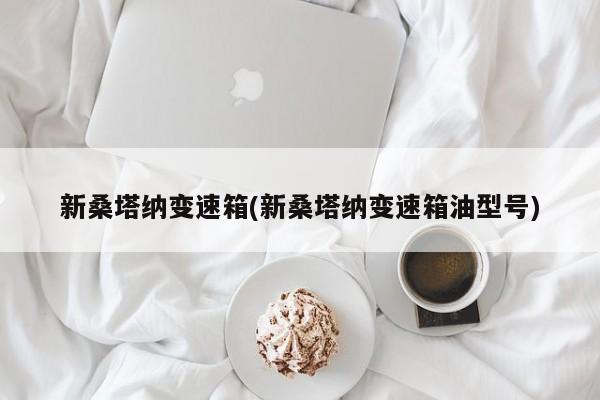 新桑塔纳变速箱(新桑塔纳变速箱油型号)